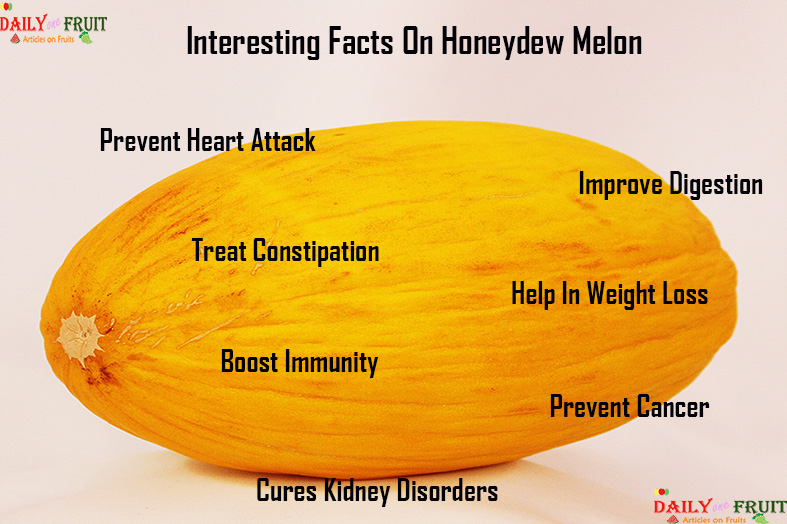 Melon Chart