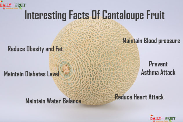 How Do You Say Cantaloupe In English