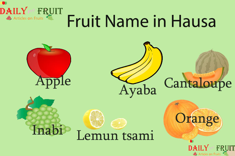 fruit-name-in-hausa