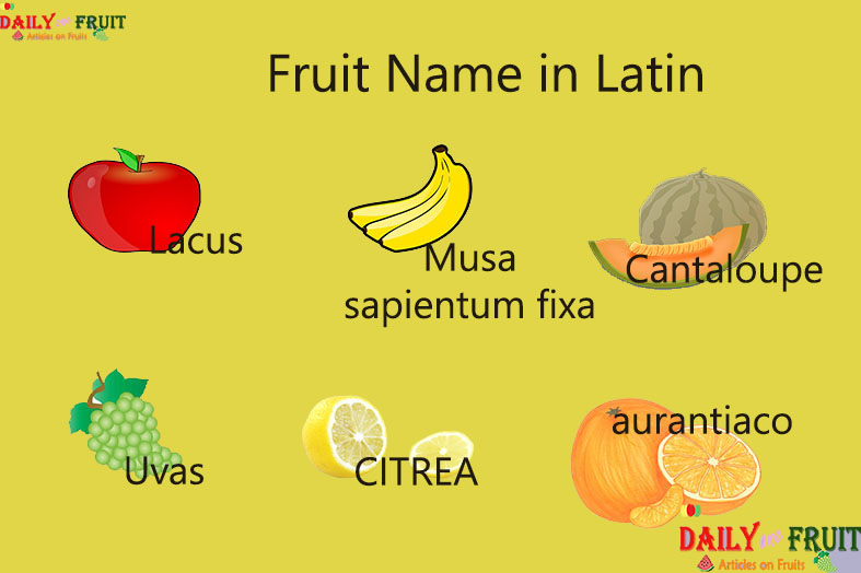 Latin Names