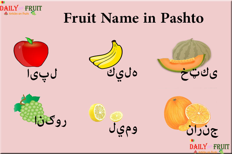 Pashto language