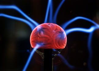 Some Fruits help in Boosting Brain Power