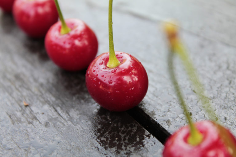 How To Say Cherry In Other Language Dailyonefruit