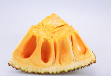 Nutritive value for Jack Fruit Nutritive value for Jack Fruit