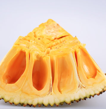 Nutritive value for Jack Fruit Nutritive value for Jack Fruit