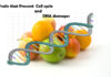 What are the Fruits that Prevent Cell cycle and DNA damages fruits prevent dna damages