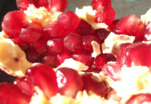 How to say Pomegranate in