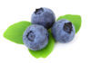 Health benefit of blueberry