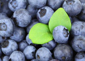 Nutrition chart Blueberries