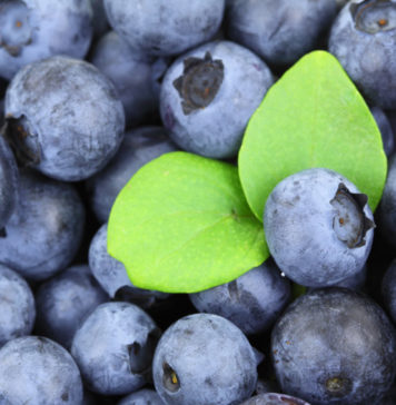 Nutrition chart Blueberries