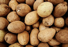 How to say Sapota sapodilla in benefit of sapote