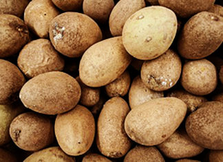 How to say Sapota sapodilla in benefit of sapote