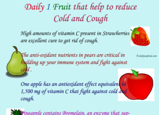 Daily One Fruit that help to reduce Cold and Cough Daily 1 Fruit that help to reduce