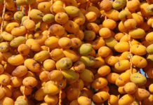 How to say Dates in Other Language