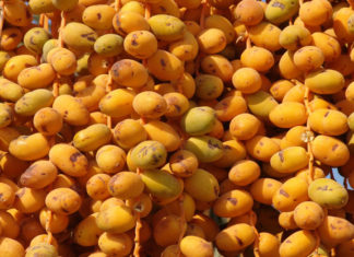 How to say Dates in Other Language