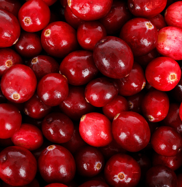 List of Fruits That Contain High Protein
