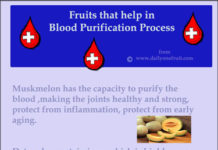 Best 5 Fruits For Blood Purification Fruits that help in Blood Purification