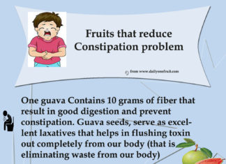 Fruits that reduce Constipation Problem Fruits that reduce Constipation Problem