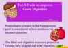 Top 5 Fruits to Improve Good Digestion Top 5 Fruits to Improve Good Digestion
