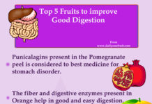 Top 5 Fruits to Improve Good Digestion Top 5 Fruits to Improve Good Digestion