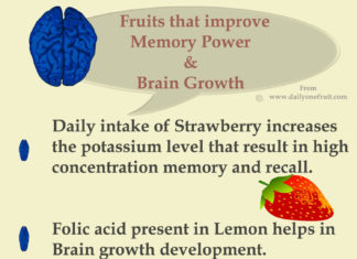 Top 6 Fruits help in improving memory power and brain development Top 6 Fruits help in improving memory power and brain development