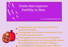 Top Major Fruits that improve Fertility in Men Top Major Fruits that improve Fertility in Men