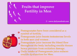 Top Major Fruits that improve Fertility in Men Top Major Fruits that improve Fertility in Men