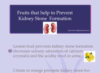 Fruits that Prevent Kidney Stone Formation fruits prevent kidney stone formation