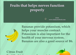 Fruits that helps Nerves Function properly Fruits that helps nerves function properly