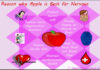 Reason why Apple is best for Nervous system Apple is Best for Nervous System