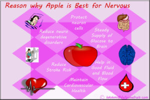 Apple is Best for Nervous System
