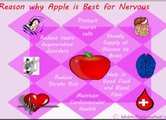 Reason why Apple is best for Nervous system Apple is Best for Nervous System