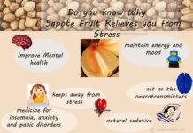 Reason Why Sapote act as a good stress reliever Reason Why Sapote act as a good stress reliever