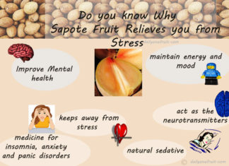 Reason Why Sapote act as a good stress reliever Reason Why Sapote act as a good stress reliever