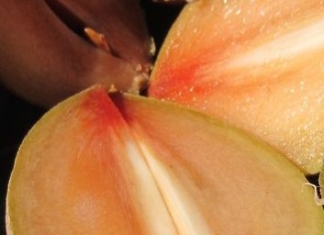 Nutrition Chart For Sapodilla