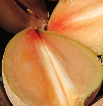 Nutrition Chart For Sapodilla