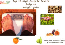 Top 16 high Calorie Fruits help in weight gain Top 16 high Calorie Fruits help in weight gain