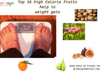 Top 16 high Calorie Fruits help in weight gain Top 16 high Calorie Fruits help in weight gain