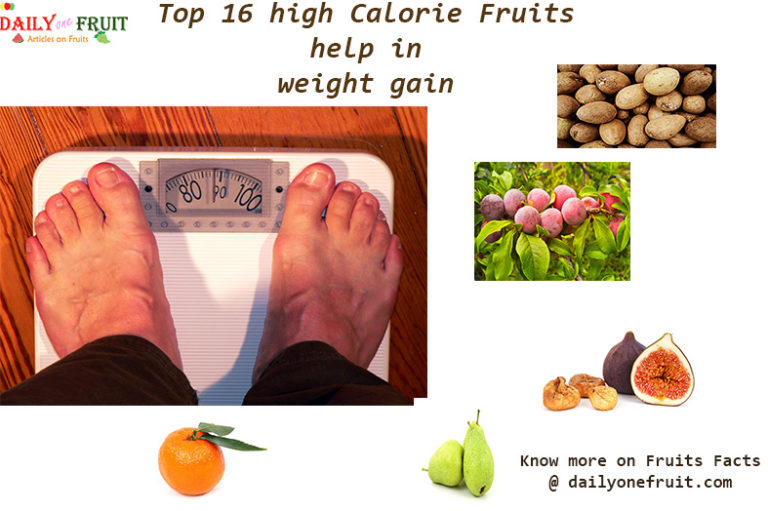 calorie calculator for weight gain calorie calculator for weight gain