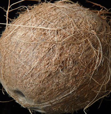 List of Top 40 High Fiber Fruits coconut fiber