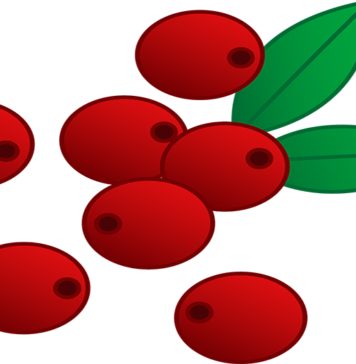 List of Fruits Fiber and Fruits Carb content cranberry