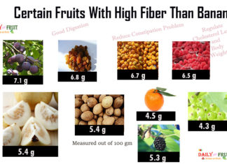 Top 15 Fruits with high Fiber fruits with high fiber