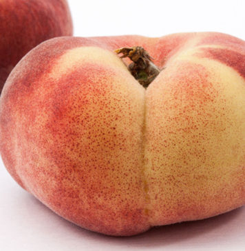 List of Fruits Protein And Fruits Fat Content peach fruit