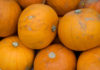 List of Fruits and Fruits Sodium content pumpkin is a vegetable or fruit