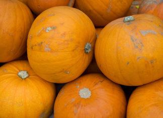 List of Fruits and Fruits Sodium content pumpkin is a vegetable or fruit