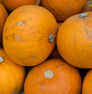 List of Fruits and Fruits Sodium content pumpkin is a vegetable or fruit