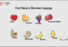 Fruit Name in Slovenian Language Fruit Name in Slovenian Language