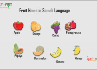 Fruit Name in Somali Language Fruit Name in Somali Language