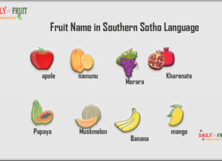 Fruit Name in Southern Sotho Language Fruit Name in Southern Sotho Language