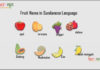 Fruit Name in Sundanese Language Fruit Name in Sundanese Language